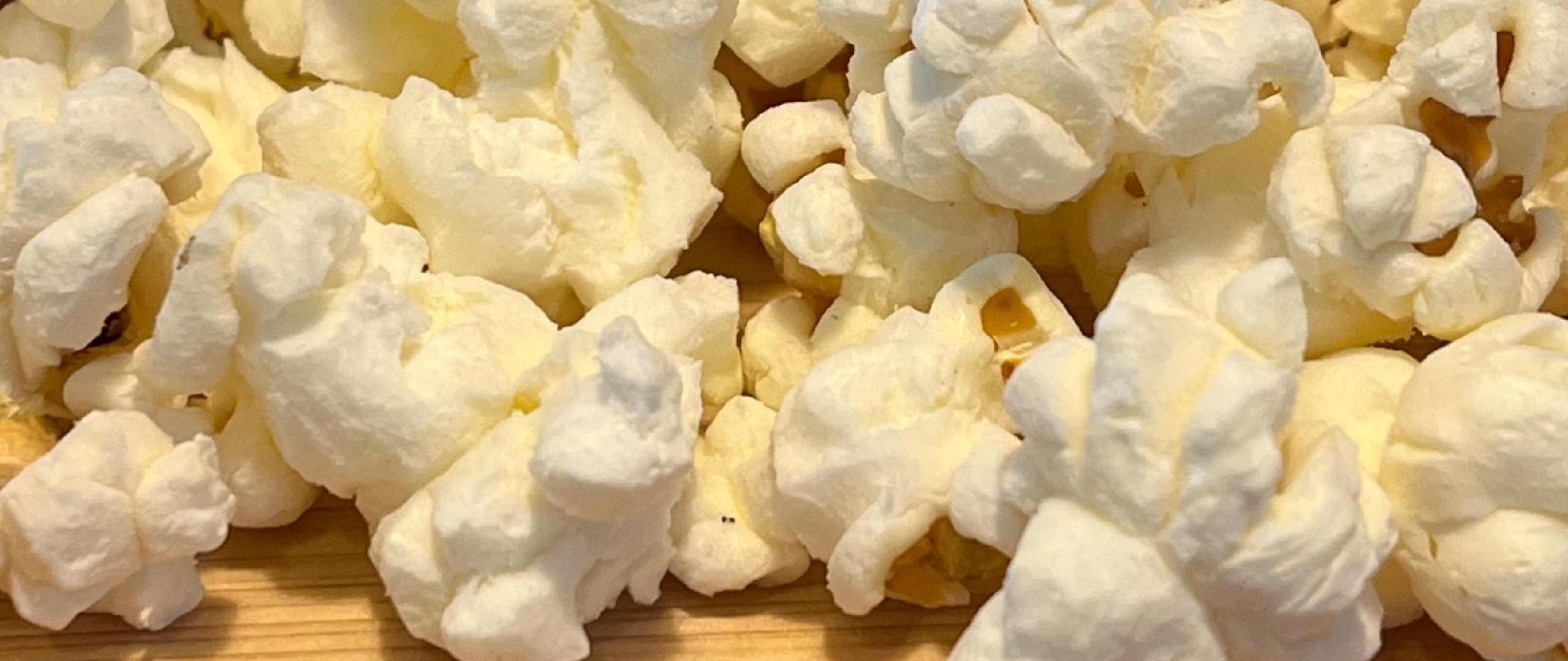 メインビジュアル画像4